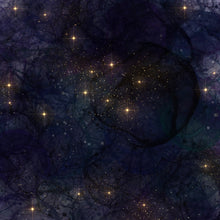 Load image into Gallery viewer, Awash With Stars 001–008 Printed Aida Fabric | 8 Designs