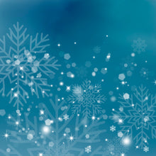 Load image into Gallery viewer, Christmas Frost Printed Aida Fabric | 12 Designs