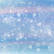 Load image into Gallery viewer, Christmas Frost Printed Aida Fabric | 12 Designs