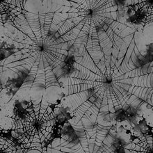 Load image into Gallery viewer, Cobwebs Printed Aida Fabric | 18 Designs
