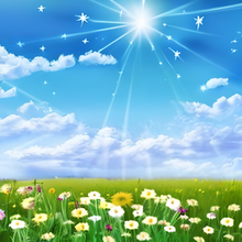 Load image into Gallery viewer, Daisy Spring Printed Aida Fabric | 4 Designs