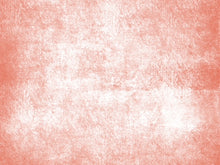 Load image into Gallery viewer, Frosted Grunge Printed Aida Fabric | 5 Colours