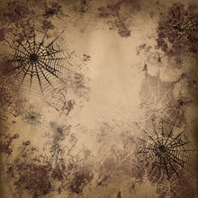 Load image into Gallery viewer, Grunge Cobwebs Printed Aida Fabric | 12 Designs