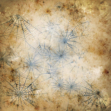 Load image into Gallery viewer, Grunge Cobwebs Printed Aida Fabric | 12 Designs