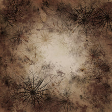 Load image into Gallery viewer, Grunge Cobwebs Printed Aida Fabric | 12 Designs