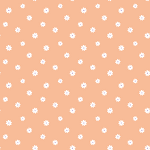 Load image into Gallery viewer, Daisies Printed Aida Fabric | 7 Designs