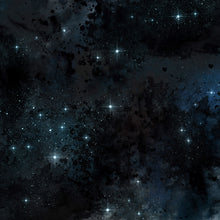 Load image into Gallery viewer, Awash With Stars 001–008 Printed Aida Fabric | 8 Designs
