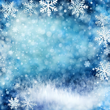 Load image into Gallery viewer, Christmas Winter Snowflakes Printed Aida Fabric | 12 Designs

