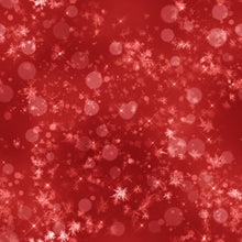 Load image into Gallery viewer, Christmas Flare Printed Aida Fabric | 5 Designs
