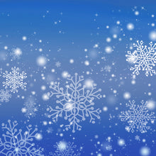 Load image into Gallery viewer, Christmas Frost Printed Aida Fabric | 12 Designs

