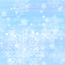 Load image into Gallery viewer, Christmas Frost Printed Aida Fabric | 12 Designs
