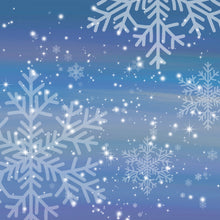 Load image into Gallery viewer, Christmas Frost Printed Aida Fabric | 12 Designs

