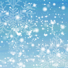 Load image into Gallery viewer, Christmas Frost Printed Aida Fabric | 12 Designs
