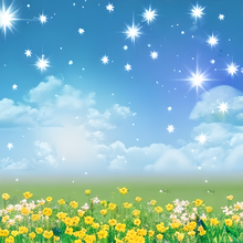 Load image into Gallery viewer, Daisy Spring Printed Aida Fabric | 4 Designs
