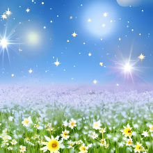 Load image into Gallery viewer, Daisy Spring Printed Aida Fabric | 4 Designs
