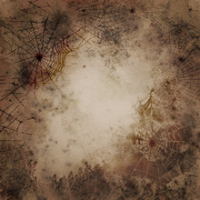 Load image into Gallery viewer, Grunge Cobwebs Printed Aida Fabric | 12 Designs
