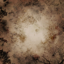 Load image into Gallery viewer, Grunge Cobwebs Printed Aida Fabric | 12 Designs
