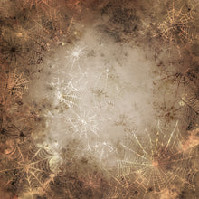 Load image into Gallery viewer, Grunge Cobwebs Printed Aida Fabric | 12 Designs
