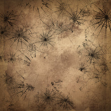Load image into Gallery viewer, Grunge Cobwebs Printed Aida Fabric | 12 Designs
