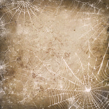Load image into Gallery viewer, Grunge Cobwebs Printed Aida Fabric | 12 Designs
