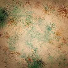 Load image into Gallery viewer, Grunge Cobwebs Printed Aida Fabric | 12 Designs
