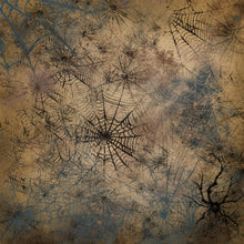 Load image into Gallery viewer, Grunge Cobwebs Printed Aida Fabric | 12 Designs
