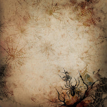 Load image into Gallery viewer, Grunge Cobwebs Printed Aida Fabric | 12 Designs
