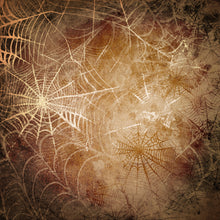 Load image into Gallery viewer, Grunge Cobwebs Printed Aida Fabric | 12 Designs
