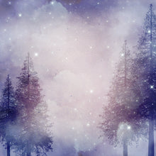 Load image into Gallery viewer, Winter Nights Printed Aida Fabric | 4 Designs
