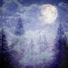Load image into Gallery viewer, Winter Nights Printed Aida Fabric | 4 Designs
