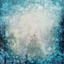 Load image into Gallery viewer, Winter Nights Printed Aida Fabric | 4 Designs
