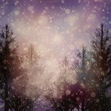 Load image into Gallery viewer, Winter Nights Printed Aida Fabric | 4 Designs
