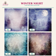 Load image into Gallery viewer, Winter Nights Printed Aida Fabric | 4 Designs
