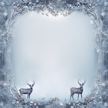 Load image into Gallery viewer, Snowflake Frames Printed Aida Fabric | 6 Designs
